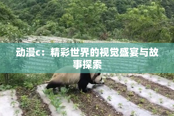 动漫c：精彩世界的视觉盛宴与故事探索