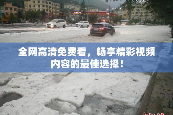 全网高清免费看，畅享精彩视频内容的最佳选择！