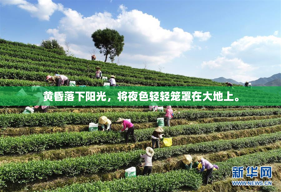 黄昏落下阳光，将夜色轻轻笼罩在大地上。
