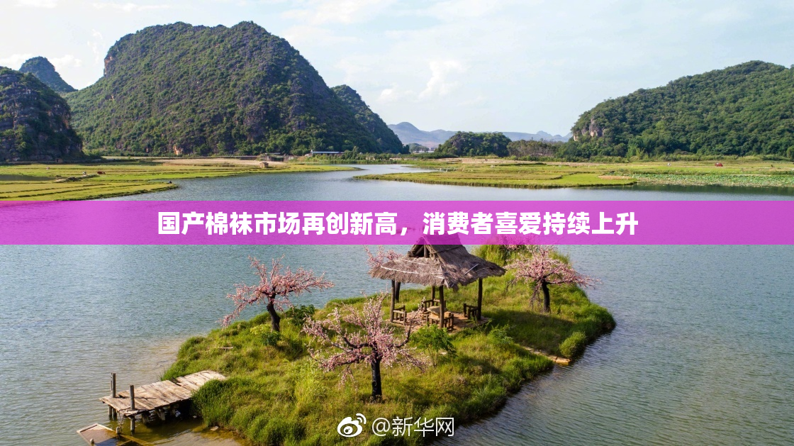 国产棉袜市场再创新高，消费者喜爱持续上升
