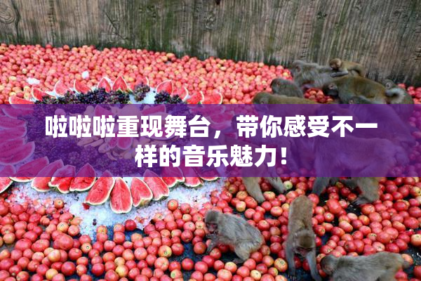 啦啦啦重现舞台，带你感受不一样的音乐魅力！