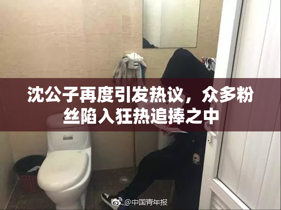 沈公子再度引发热议，众多粉丝陷入狂热追捧之中