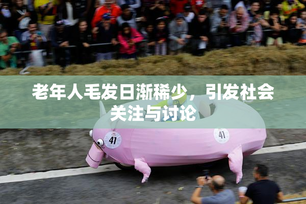 老年人毛发日渐稀少，引发社会关注与讨论