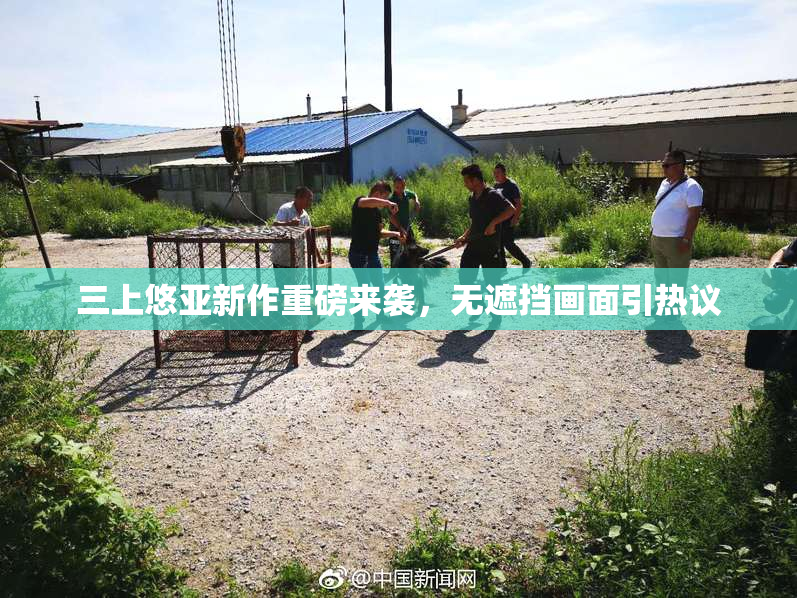 三上悠亚新作重磅来袭，无遮挡画面引热议