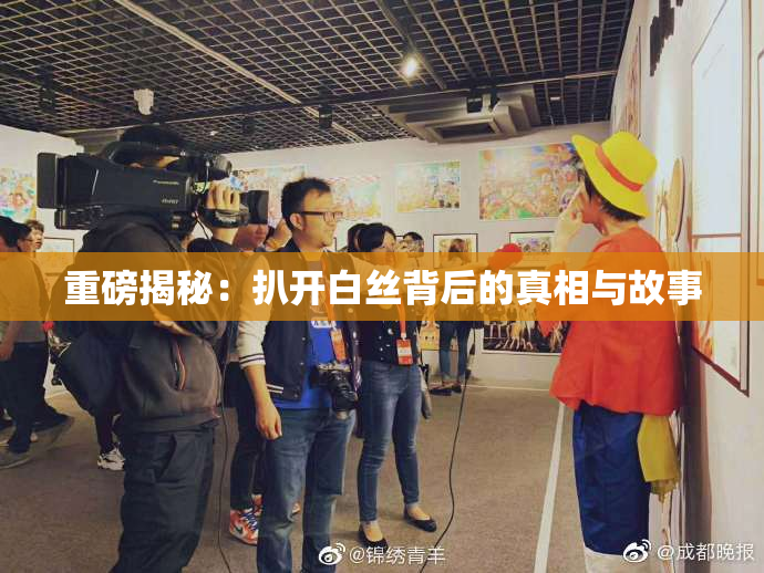 重磅揭秘：扒开白丝背后的真相与故事