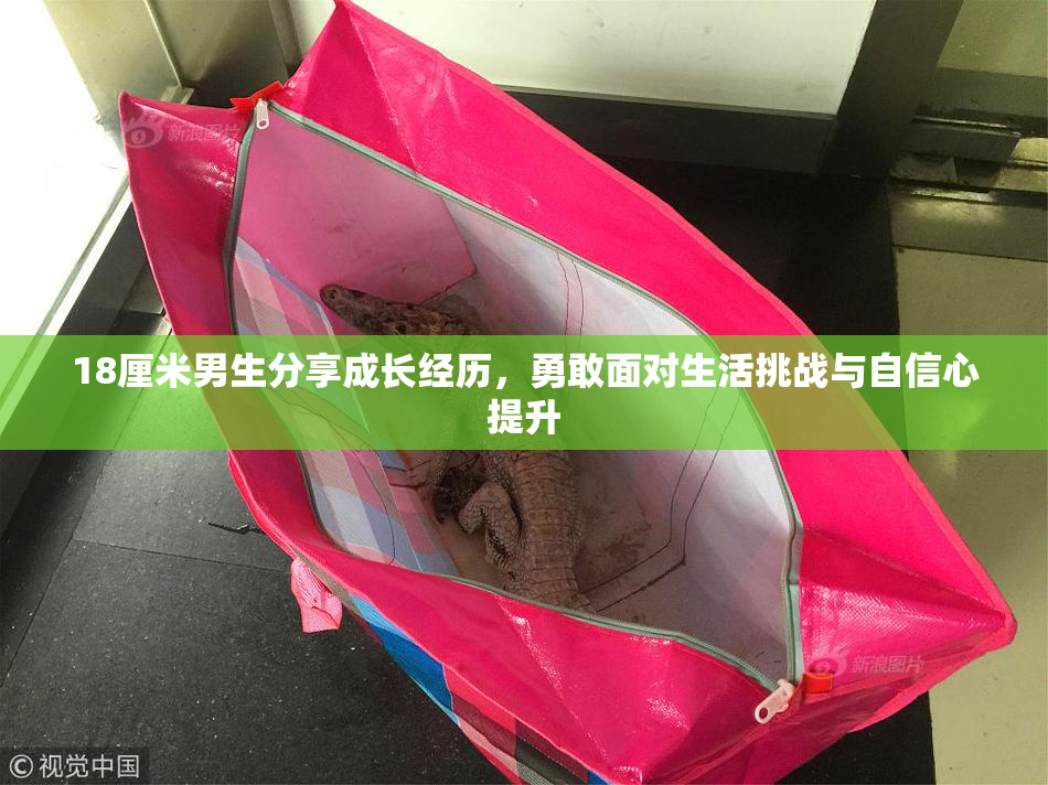 18厘米男生分享成长经历，勇敢面对生活挑战与自信心提升