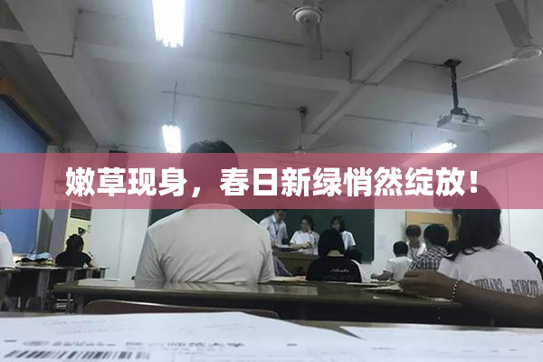 嫩草现身，春日新绿悄然绽放！