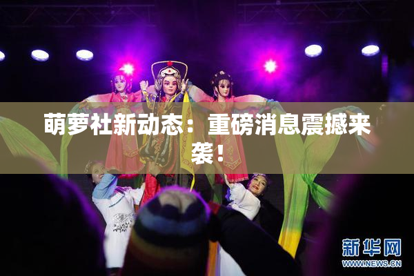 萌萝社新动态：重磅消息震撼来袭！