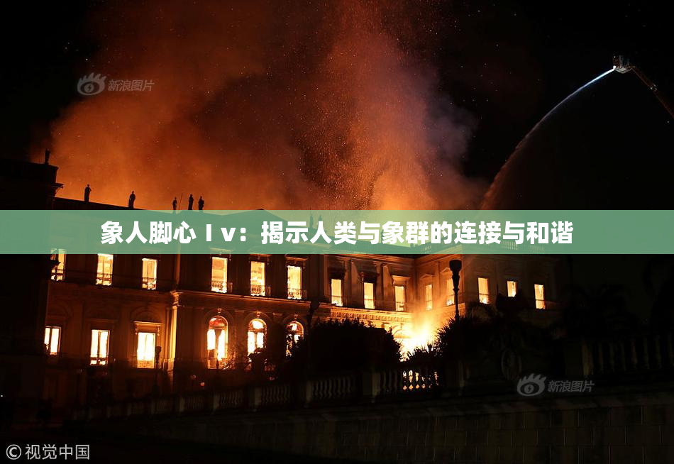 象人脚心Ⅰv：揭示人类与象群的连接与和谐