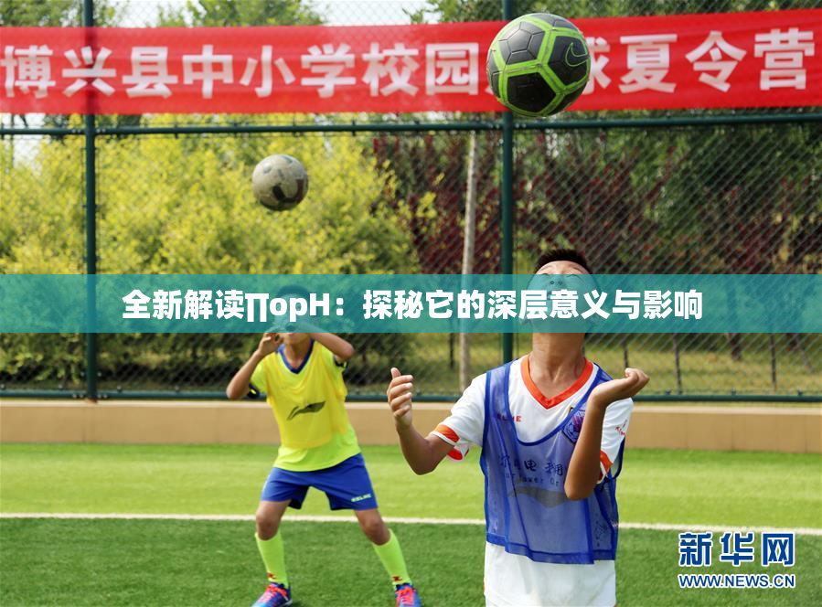 全新解读∏opH：探秘它的深层意义与影响