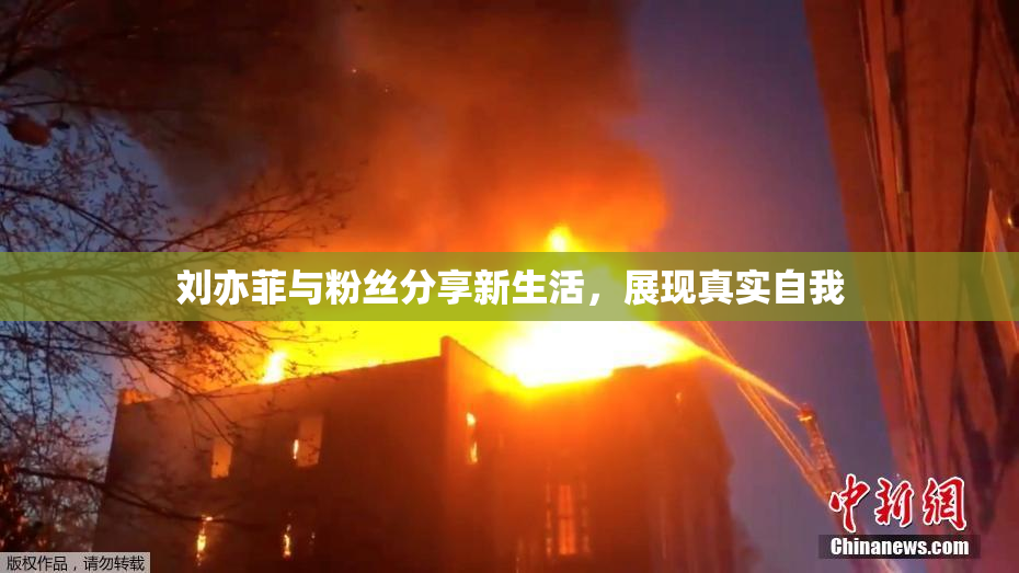 刘亦菲与粉丝分享新生活，展现真实自我