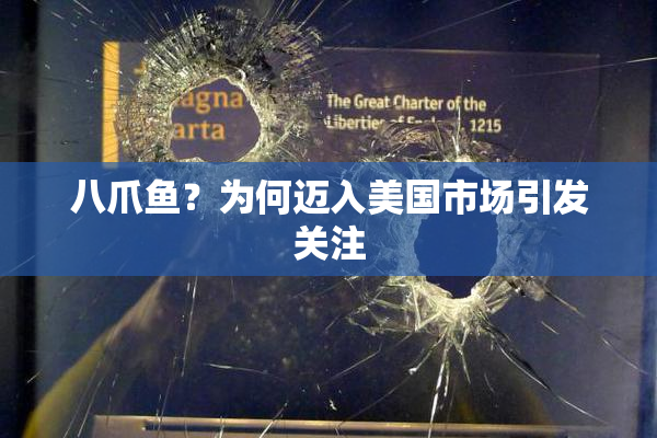 八爪鱼？为何迈入美国市场引发关注