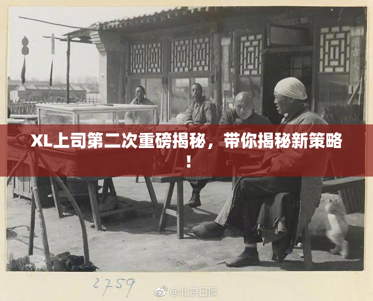 XL上司第二次重磅揭秘，带你揭秘新策略！