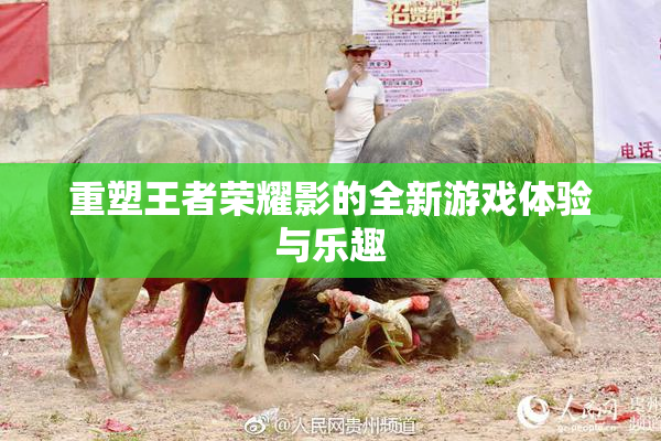 重塑王者荣耀影的全新游戏体验与乐趣