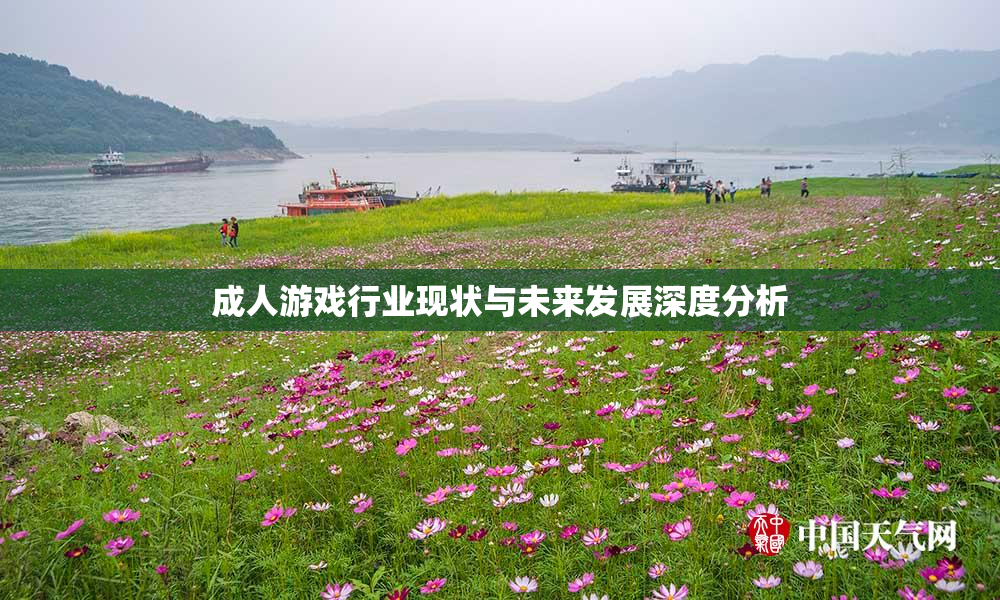成人游戏行业现状与未来发展深度分析
