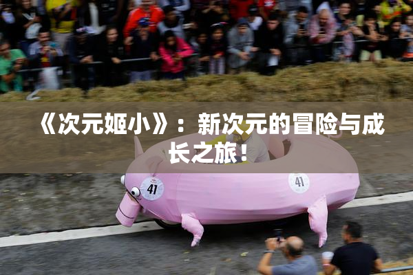 《次元姬小》：新次元的冒险与成长之旅！