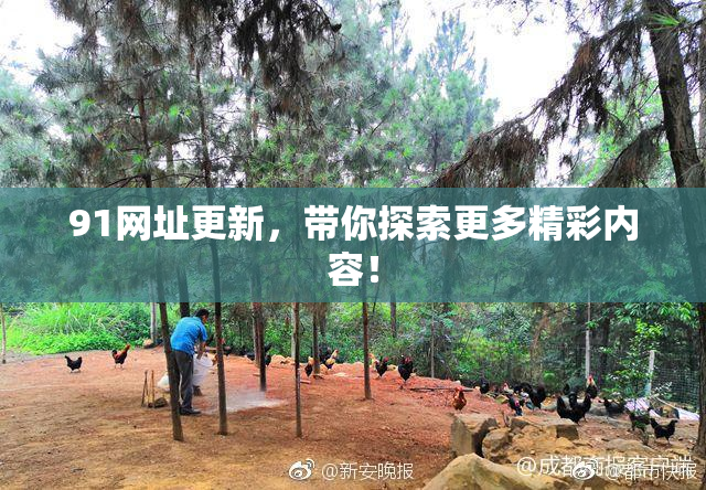 91网址更新，带你探索更多精彩内容！