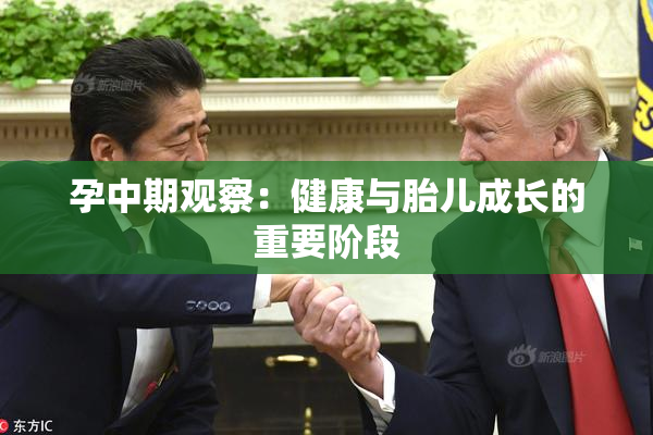 孕中期观察：健康与胎儿成长的重要阶段