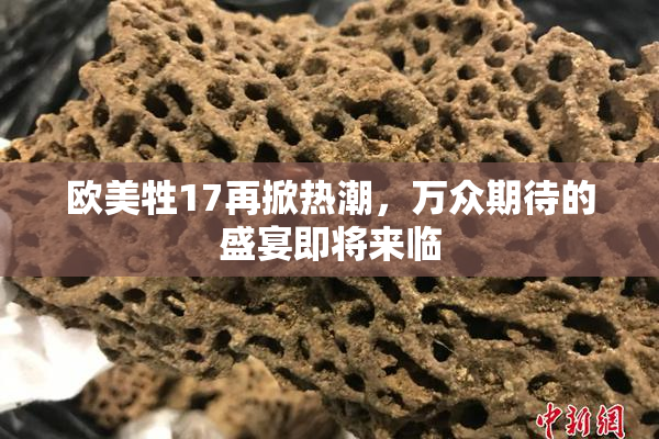 欧美牲17再掀热潮，万众期待的盛宴即将来临