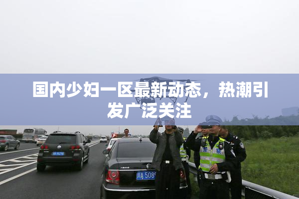 国内少妇一区最新动态，热潮引发广泛关注