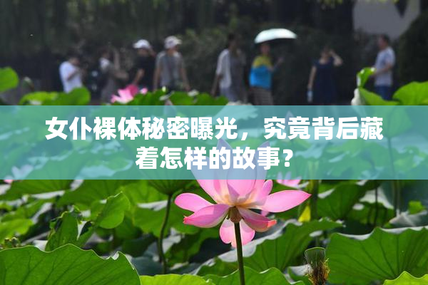 女仆裸体秘密曝光，究竟背后藏着怎样的故事？