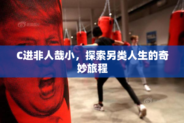 C进非人哉小，探索另类人生的奇妙旅程