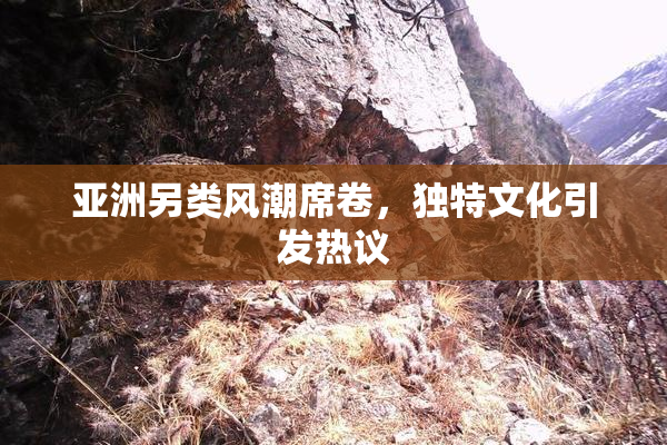 亚洲另类风潮席卷，独特文化引发热议
