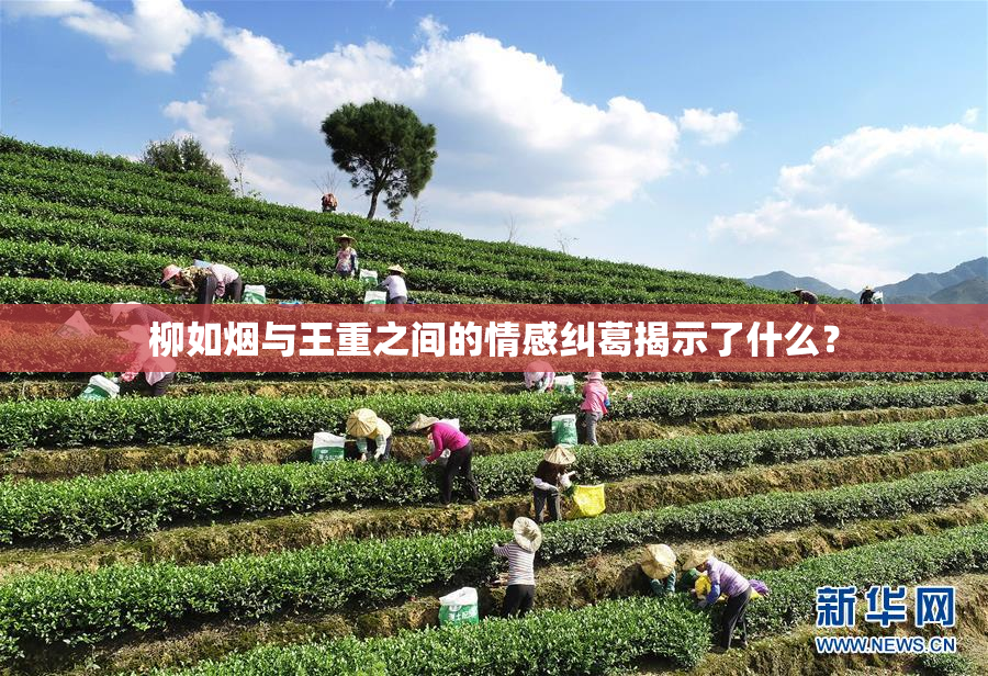柳如烟与王重之间的情感纠葛揭示了什么？