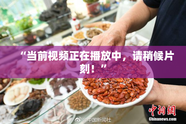 “当前视频正在播放中，请稍候片刻！”