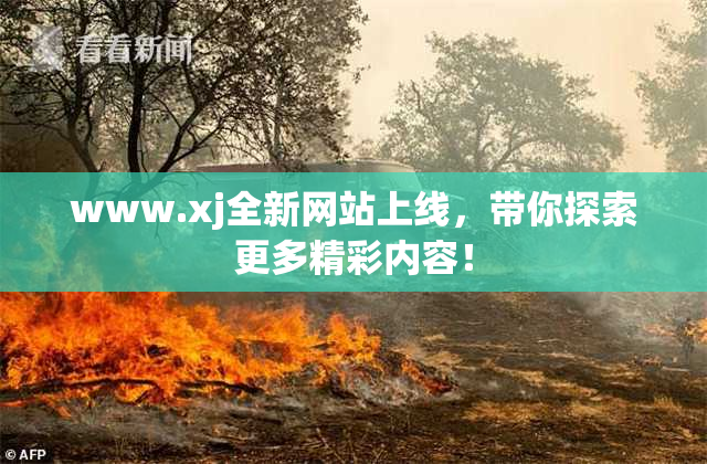 www.xj全新网站上线，带你探索更多精彩内容！