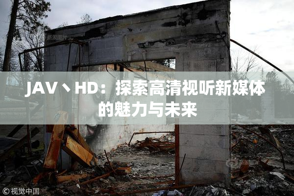 JAV丶HD：探索高清视听新媒体的魅力与未来