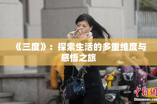 《三度》：探索生活的多重维度与感悟之旅