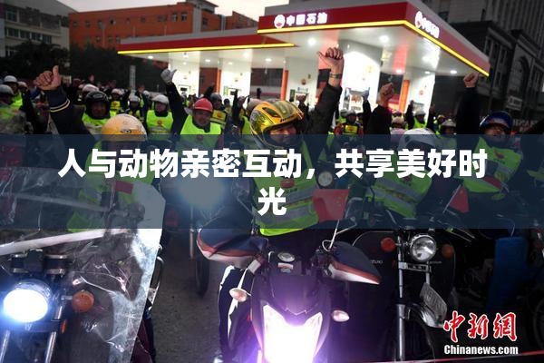 人与动物亲密互动，共享美好时光