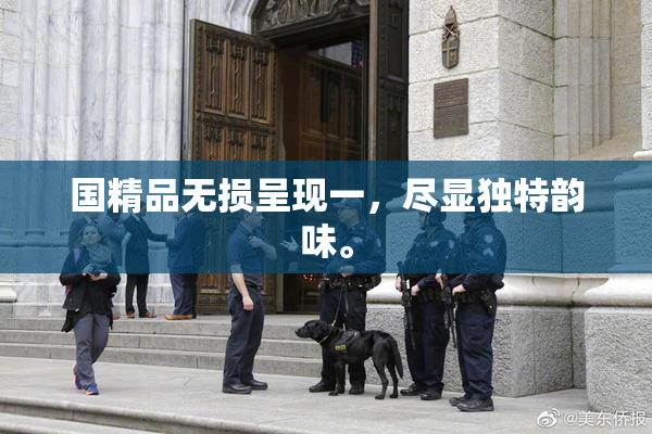 国精品无损呈现一，尽显独特韵味。