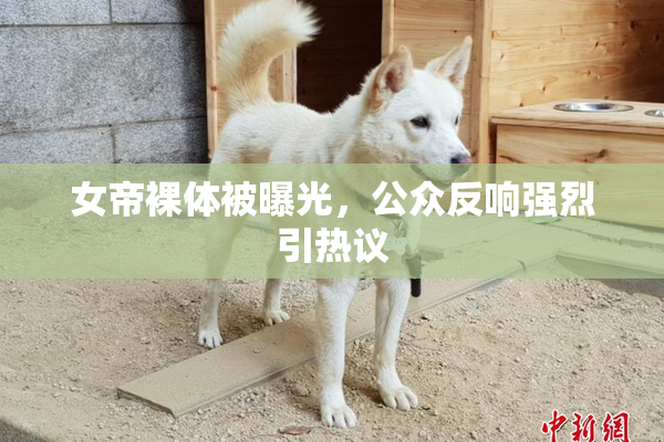 女帝裸体被曝光，公众反响强烈引热议