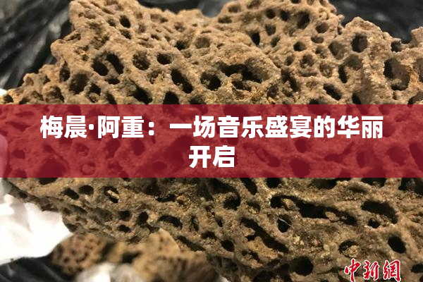 梅晨·阿重：一场音乐盛宴的华丽开启