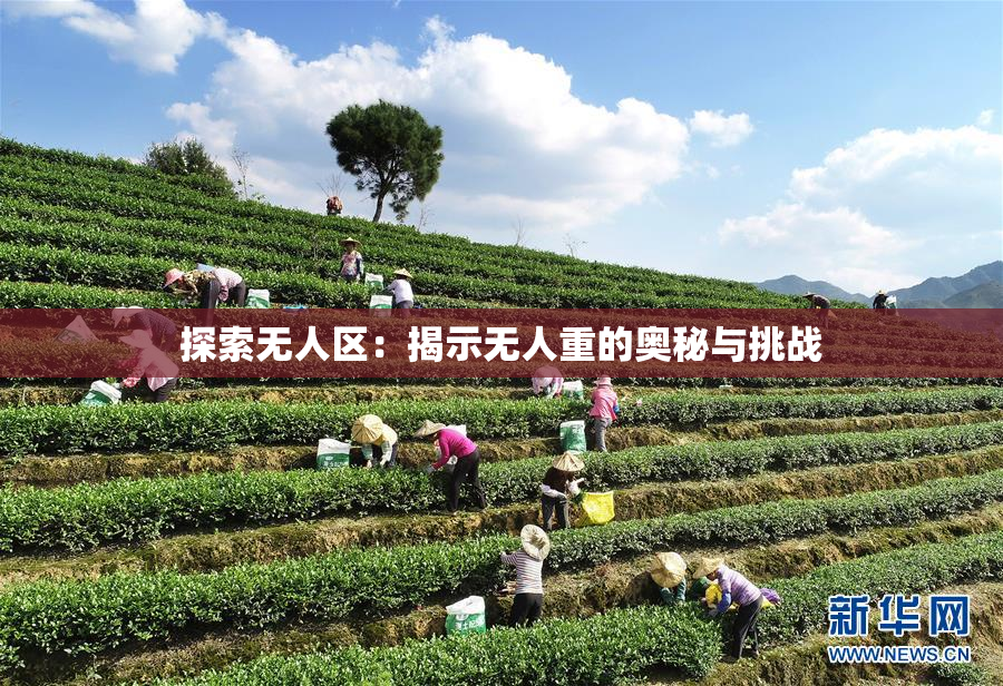 探索无人区：揭示无人重的奥秘与挑战