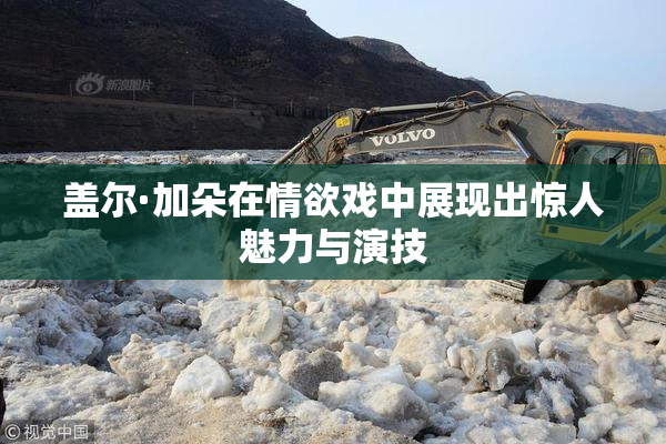 盖尔·加朵在情欲戏中展现出惊人魅力与演技