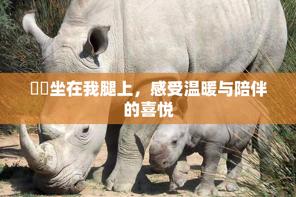 妺妺坐在我腿上，感受温暖与陪伴的喜悦