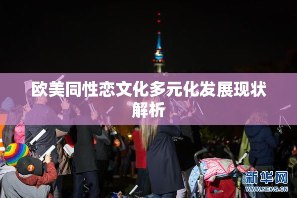 欧美同性恋文化多元化发展现状解析