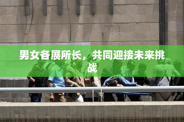 男女各展所长，共同迎接未来挑战