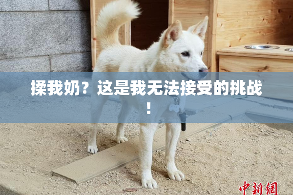 揉我奶？这是我无法接受的挑战！