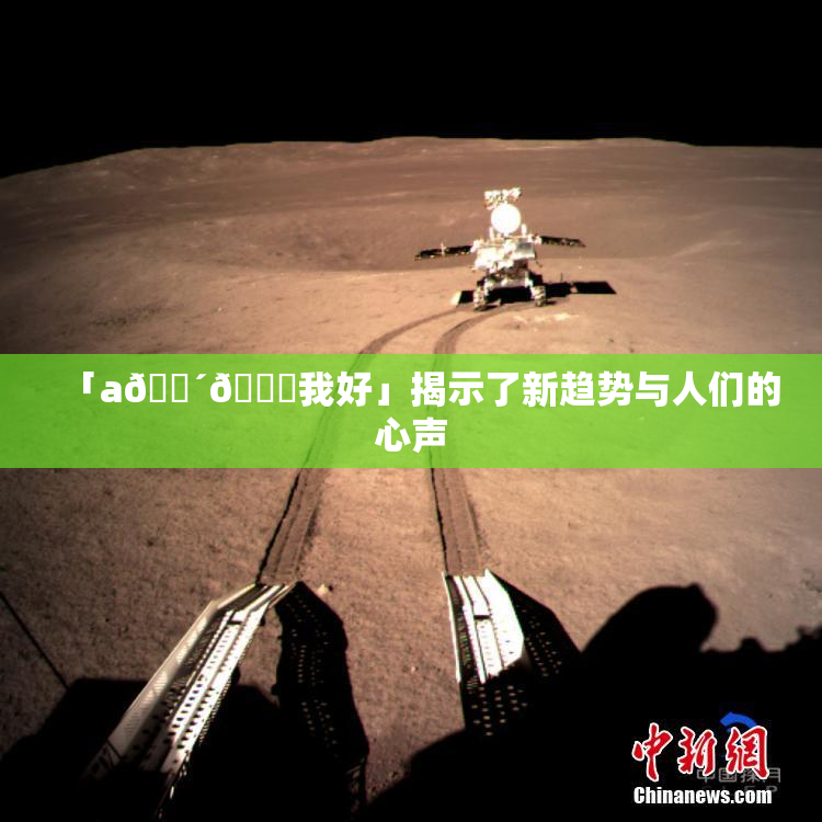 「a🔴🍑我好」揭示了新趋势与人们的心声