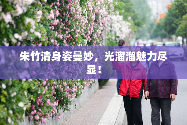 朱竹清身姿曼妙，光溜溜魅力尽显！