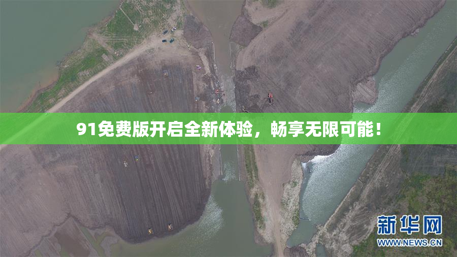 91免费版开启全新体验，畅享无限可能！