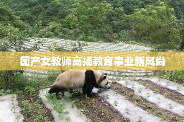 国产女教师高扬教育事业新风尚