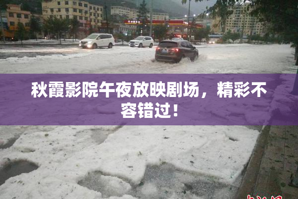 秋霞影院午夜放映剧场，精彩不容错过！