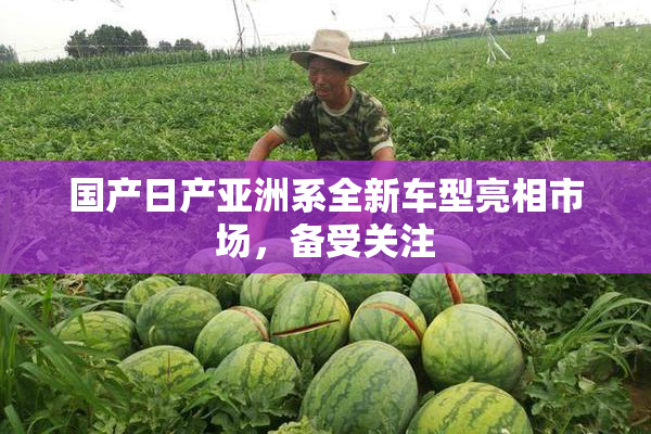 国产日产亚洲系全新车型亮相市场，备受关注