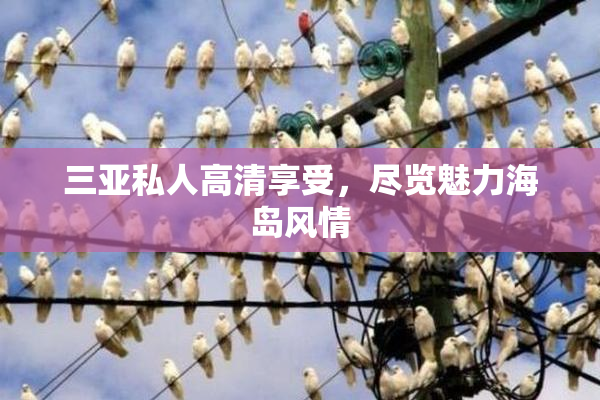 三亚私人高清享受，尽览魅力海岛风情