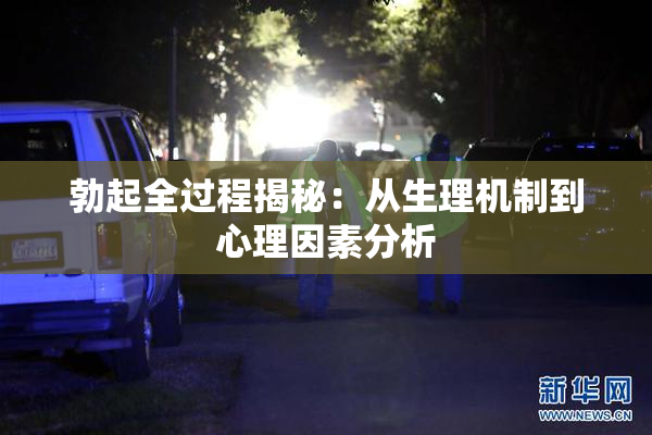 勃起全过程揭秘：从生理机制到心理因素分析